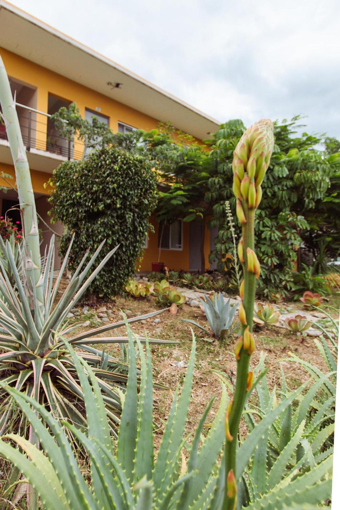 Hotel Guiva San Pablo Hacienda Blanca 외부 사진